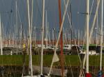 7 novembre nexwport (8)