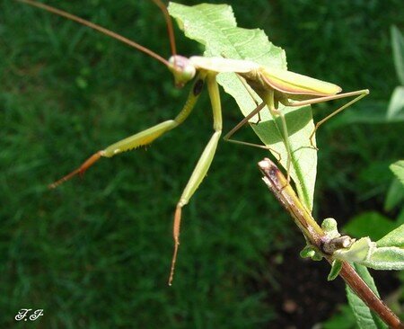 Photo_004