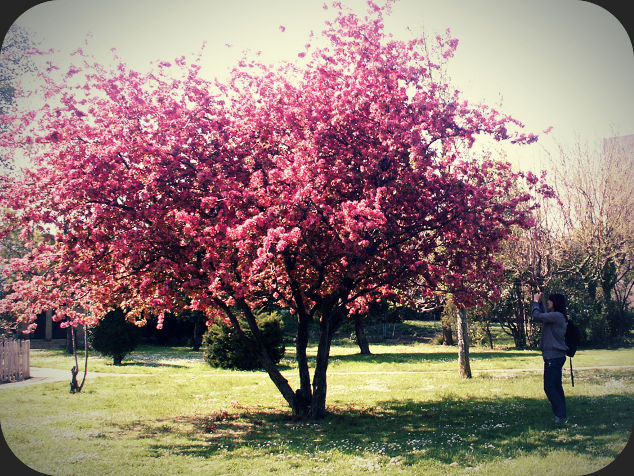 printemps