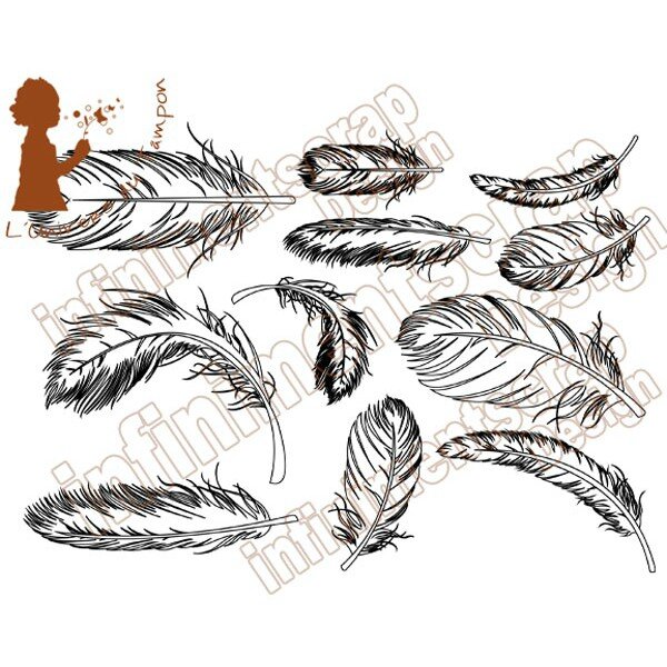 panche plumes