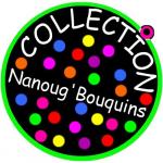 LOGO Nanoug'bouquins500