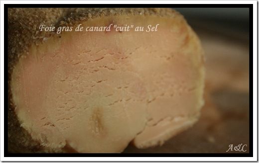 Foie gras de Canard cuit au sel (1)