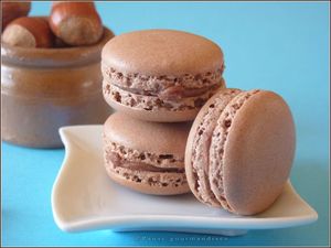 macarons_chocolat_au_lait_et_noisettes__38_