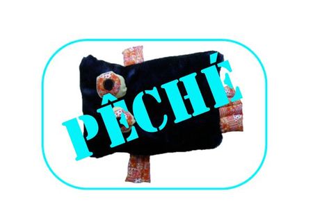 95pêché