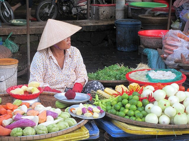 blog viet5