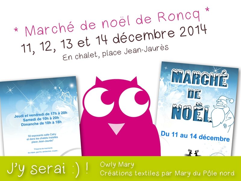 marche-noel-roncq-2014-salon-expo-affiche-planche-owly-mary-du-pole-nord