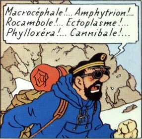 haddock-insulte