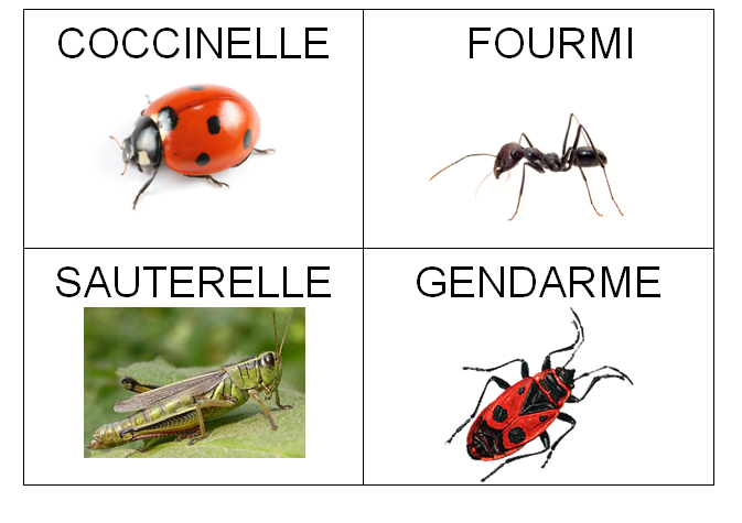 lieu de rencontre mots croises