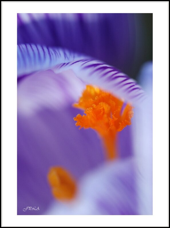 14 03 05 14 02 26 105macro 9011 c