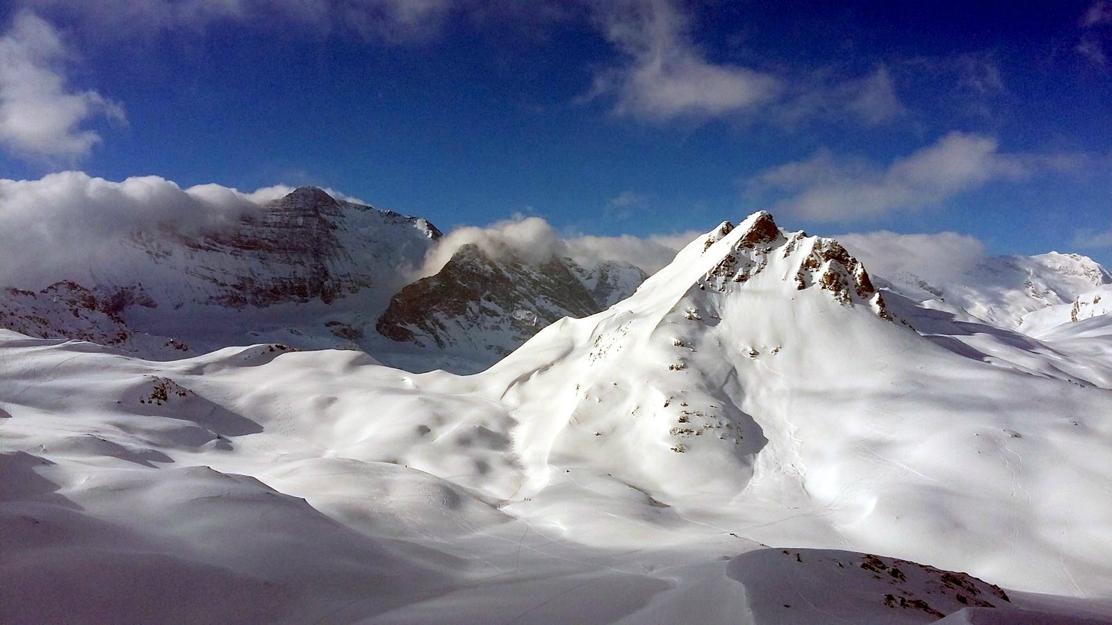 Le Grapillon FREESKILLY