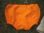 bloomer_orange_230707
