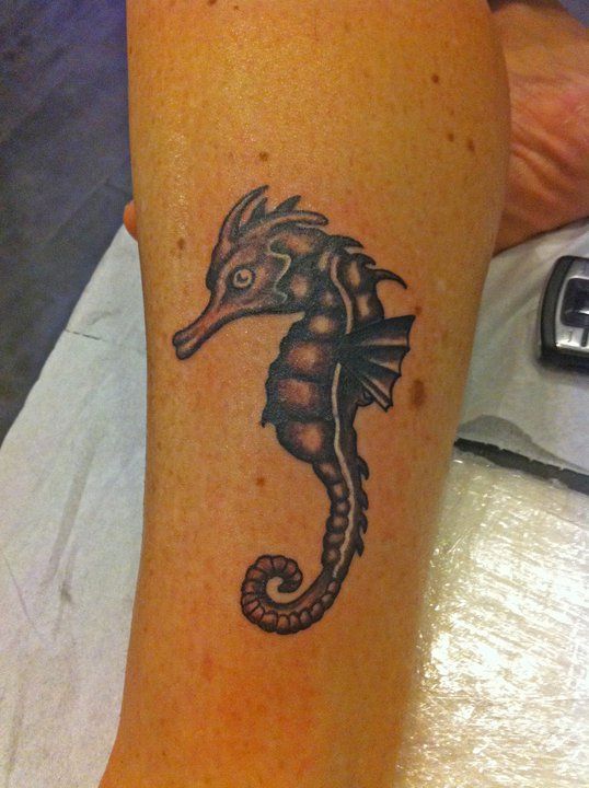 hippocampe photo de animaux joce de mat tattoo hippocampe photo de animaux joce de mat tattoo