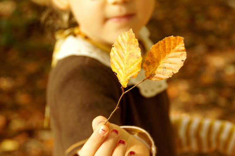 la feuille d'automne