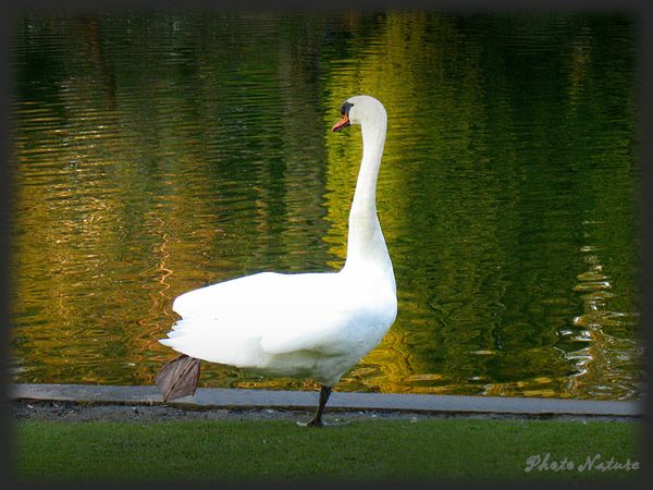 IMG_2148