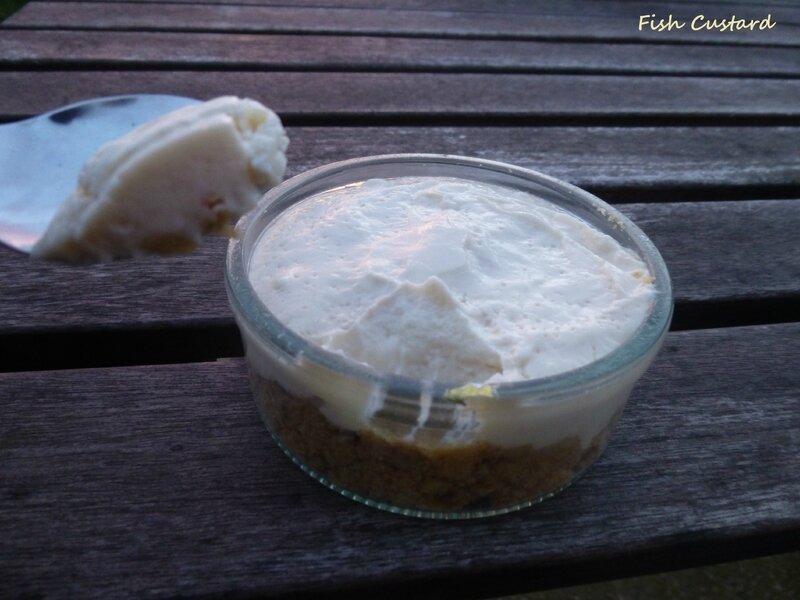 Cheesecake sc vanille (8)