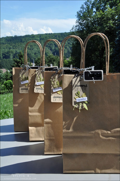 Sac herbettes