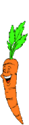 legumes-carottes-00006