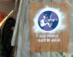 20110806GrabowseeDeepPurplePixPedroWeb001