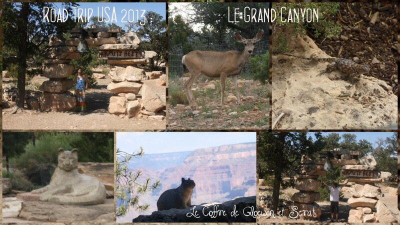 Le Grand Canyon dans le Coffre de Gloewen et Scrat