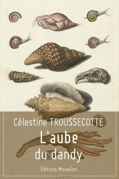 Célestine Troussecotte - L'aube du dandy