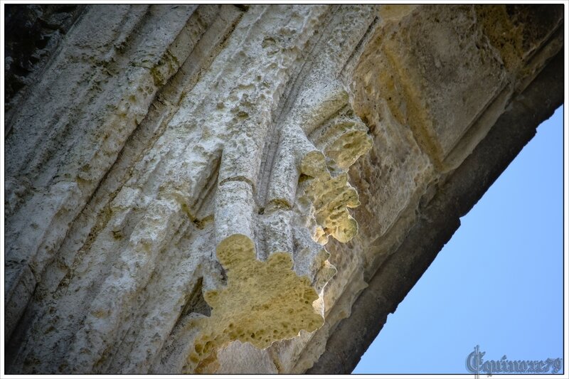 arche ruine abbaye maillezais (1)