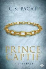 prince-captif,-tome-1---l-esclave-
