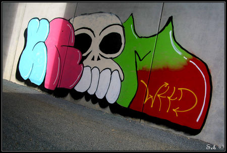 IMG_4177_border