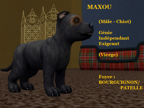 MAXOU