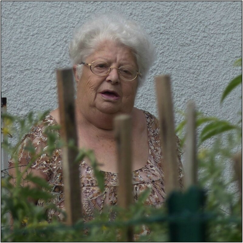 114062554 (1)