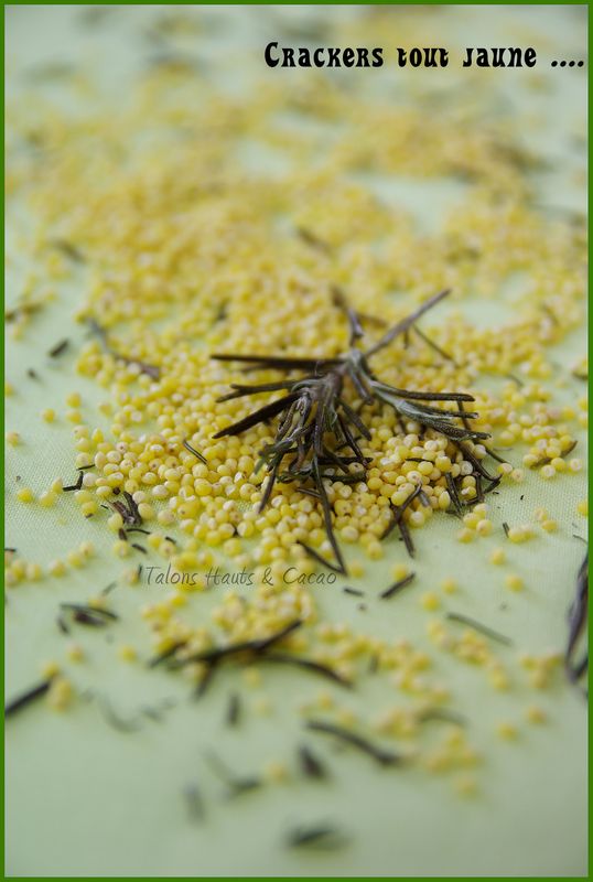 crackers1_copie