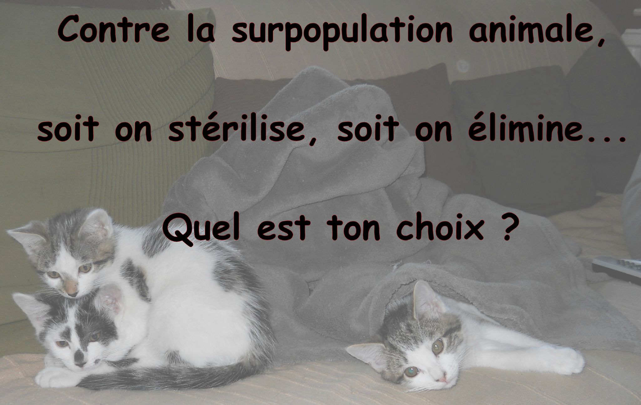 http://p9.storage.canalblog.com/93/22/448992/77637309_o.jpg