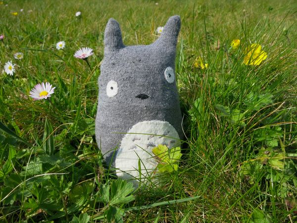 1 - Totoro jardin