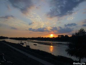 IMG_11218C