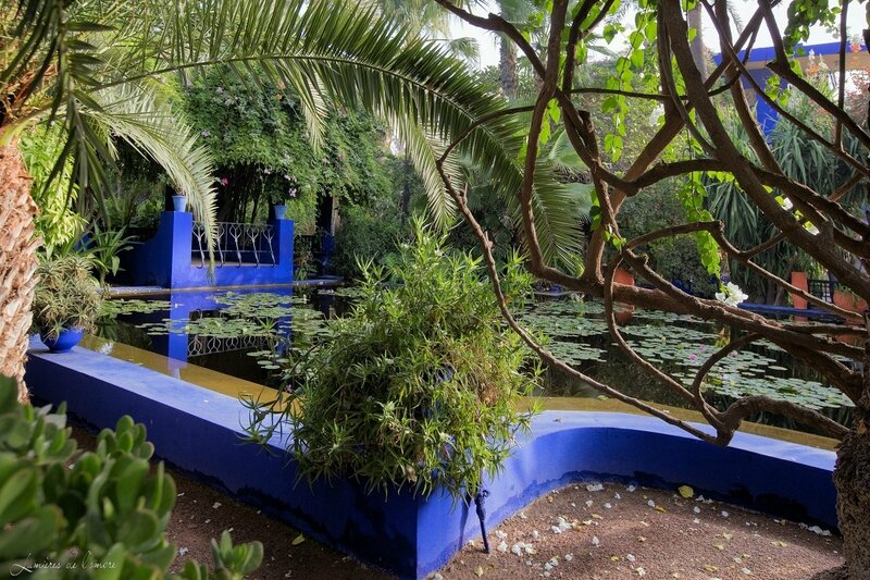 w_Majorelle_Bassin_20170929_6412