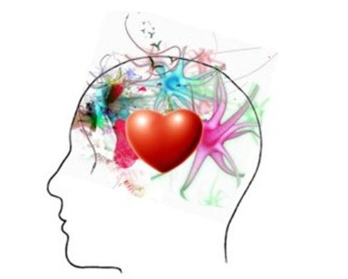 14eme rencontre de neurologie