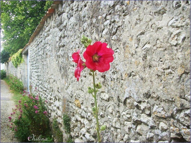 042 - Copie