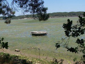 Larmor Baden