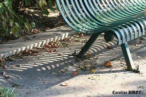 banc_CV_30_oct_2006_032_copie