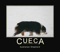Cueca, une Aussie dans le Bugey