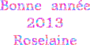 Année 2013