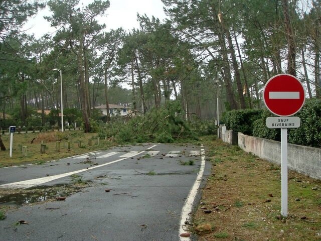 Photo-degats-vents-tempete-biscarosse-plage-chateau-eauXVI