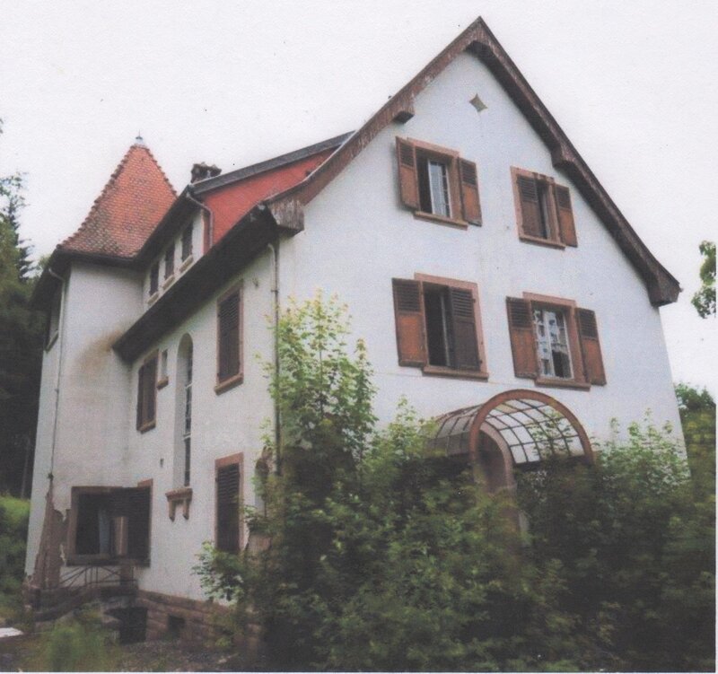 benaville_dna