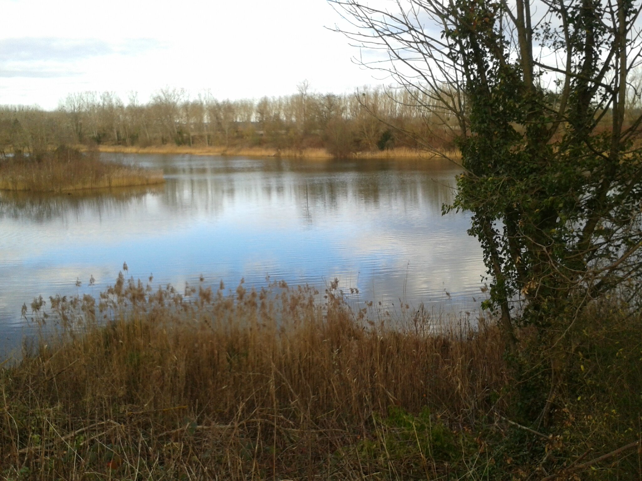 Rencontre etang sur arroux