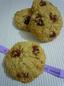 cookies flocons d'avoine cranberries (9)
