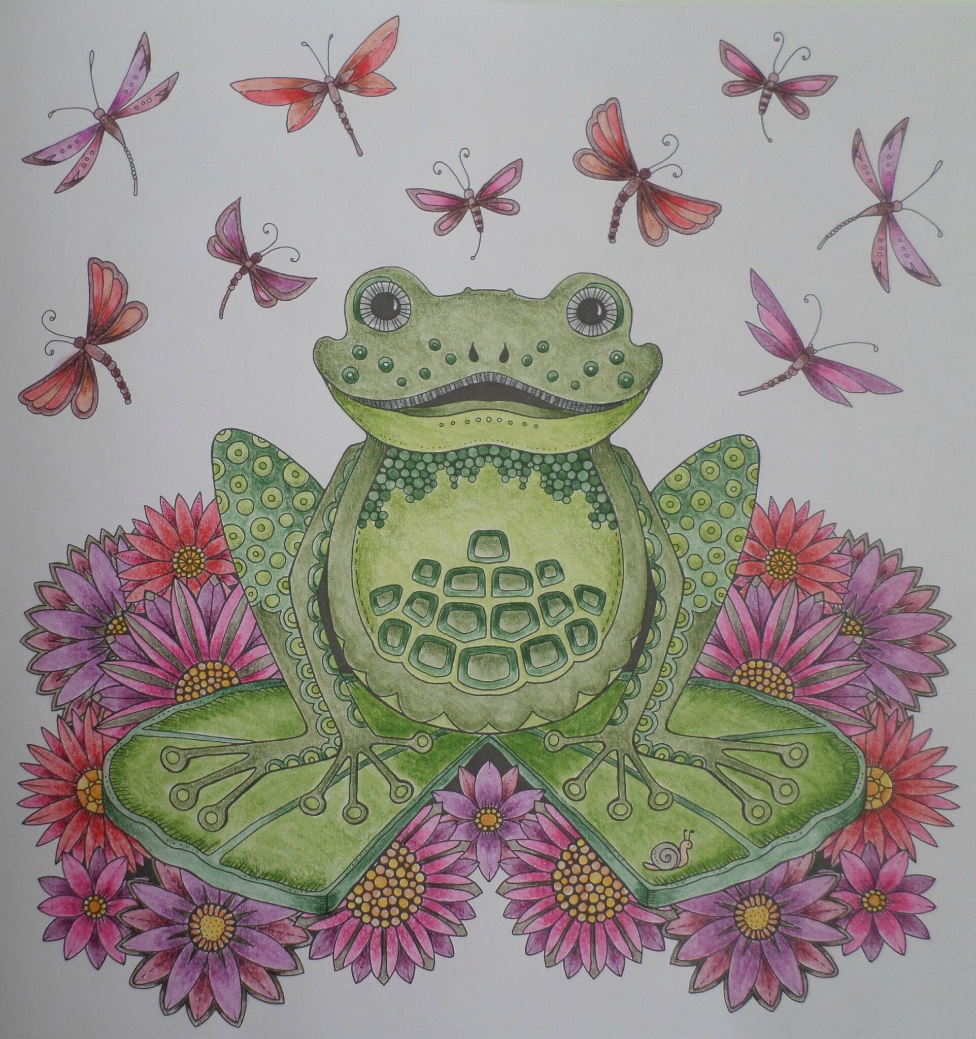 Livre Forªt Enchantée de Johanna Basford Crayon de couleur aquarelle Faber Castell
