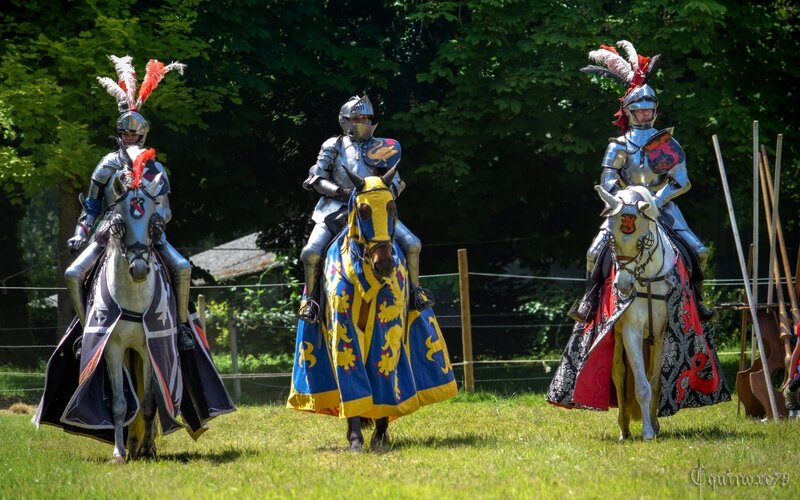 Femmes-chevaliers au Moyen Âge Chevalerie Initiatique - tournois dû à la plume de René d’Anjou (3)