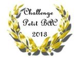 0 Challenge Petit Bac 2013-001
