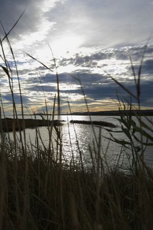 Maguelone_0536