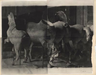deborah_turbeville Versailles 3