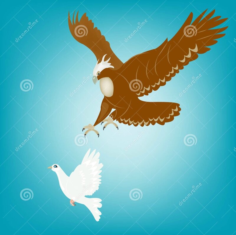 aigle-et-colombe-18220775_a